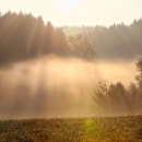 Vysočina Life and Nature: Podzimní paprsky v mlze