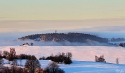 Vysočina Life and nature: Harusův kopec 
https://www.facebook.com/vysocinalan/