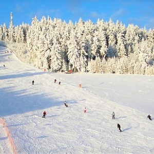 Skiharusák