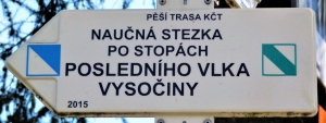 Po stopách posledního vlka Vysočiny